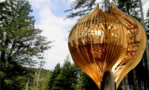 Go See: Whimsical Yellow Treehouse