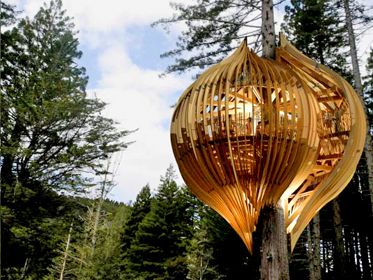 Go See: Whimsical Yellow Treehouse